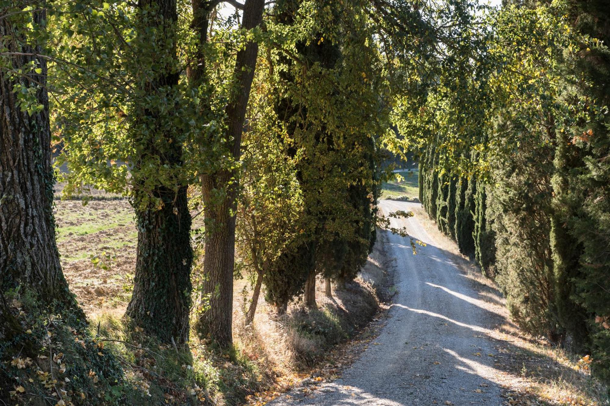 Villa Il Giardinello Μονταλτσίνο Εξωτερικό φωτογραφία